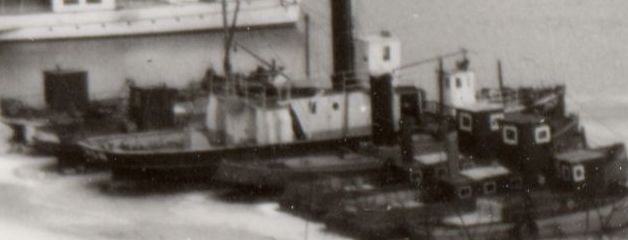 Minnevika 1955_Q