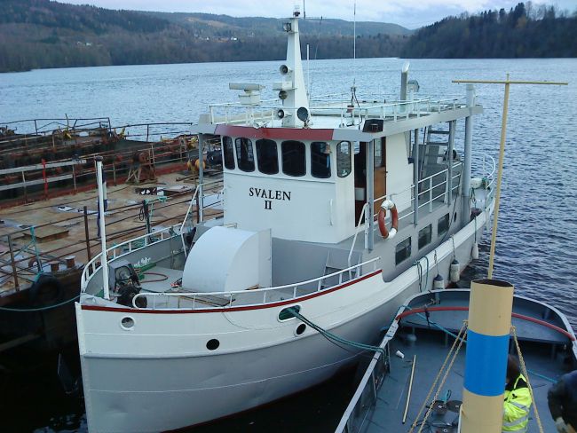 Svalen m_navn